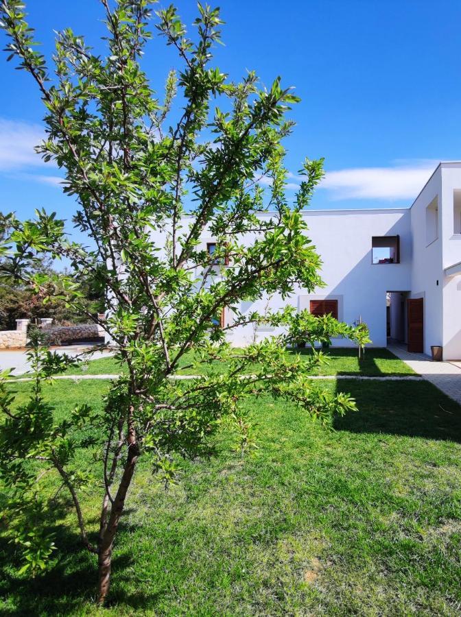 Apartments Leticia Vrsi Exterior foto